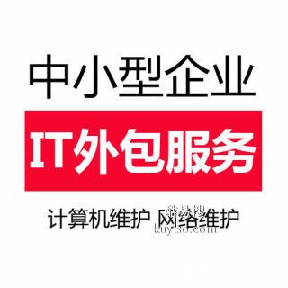 天津中小企業(yè)it外包服務