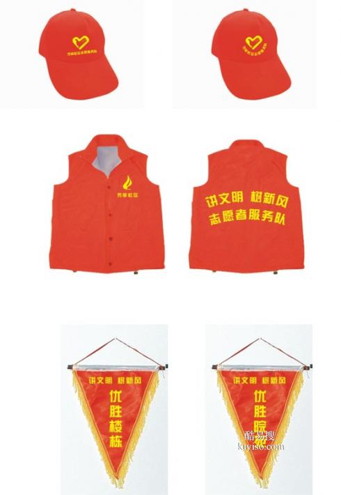 志愿者背心帽子马甲T恤POLO衫服装服饰现货产品图