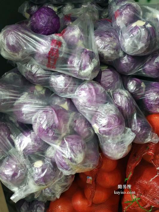 郑州新鲜蔬菜集装箱
