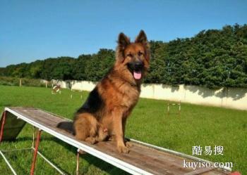 丽水莲都行为纠正 工作犬行为训练 诚信保障