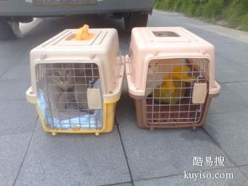 漳州专业的宠物猫运输公司