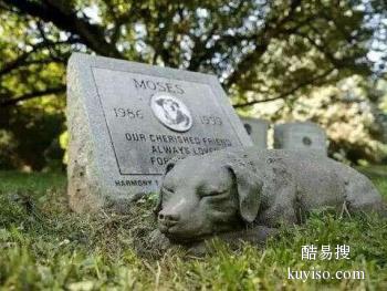 威海市宠物火化的地方,威海宠物殡葬公司