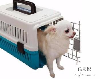 枣庄至全国宠物托运 上门接送宠物活体运输 客户至上，重视细节