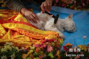 桂林宠物埋葬 宠物骨灰抛洒 回归自然 宠宝天堂公司