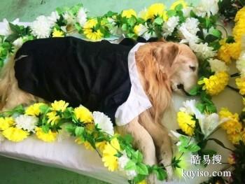 齐齐哈尔宠物埋葬 宠物纪念馆 宠宝服务联系方式