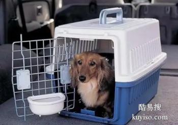 滨州专业宠物托运公司 宠物托运 