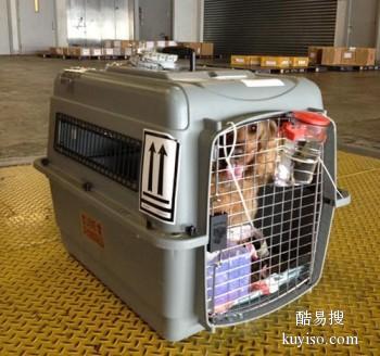 滁州专业宠物托运 提供水粮 有氧环境