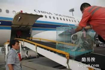 商丘至全国宠物托运 航空专车大巴火车 门到门服务