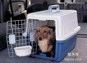寿县活体宠物物流专车托运 检疫证办理 专属服务 欢迎详聊