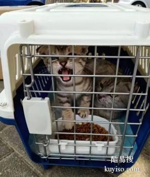 安庆宠物托运 24小时在线宠物托运平台