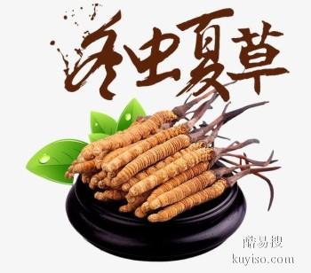 武汉市收购冬虫夏草-包括发红黑-生虫毛-碎段-折断草