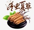 南京市收购鲜干冬虫夏草-1根-1克-1两-1市斤-1公斤价格