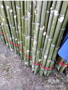藁城竹竿 竹笆片 高压线防护杉木杆 枕木批发电话