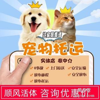 淮滨宠物托运 猫狗活体运输到全国