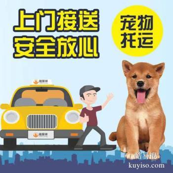枣庄宠物猫宠物狗活体托运本地实体门店网点覆盖全国各地