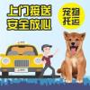 枣庄宠物猫宠物狗活体托运本地实体门店网点覆盖全国各地