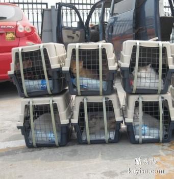 滁州宠物托运中心安全便捷可达全国各地