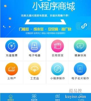 宜宾小程序开发,软件开发,系统开发,购物商城