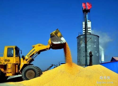 台湾收购二级玉米储备粮