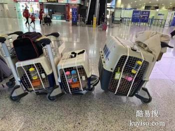 滁州机场恒翔宠物猫 宠物狗托运 代办手续 上门接送