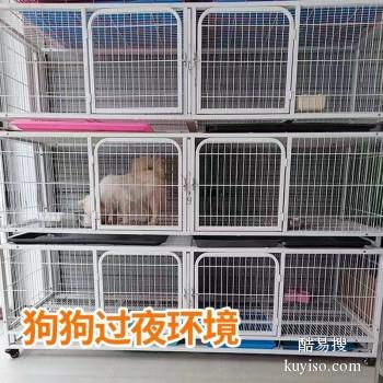 盱眙县专业猫狗托运 上门接送 宠物托运至全国
