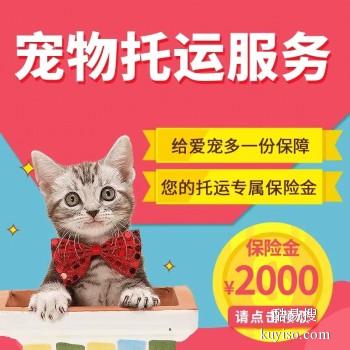 滁州市专业猫狗托运 上门接送 宠物托运至全国