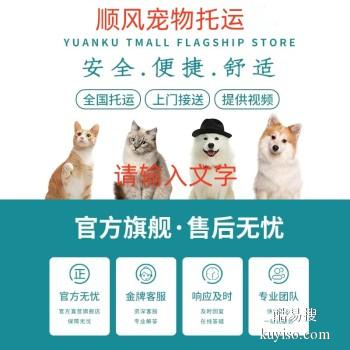 安阳林州专业猫狗托运 上门接送 宠物托运至全国