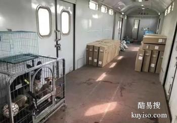 惠州惠城南坛下埔宠物托运可提供上门接送服务