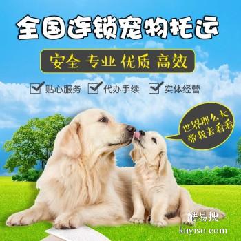枣庄宠物托运公司-宠物托运-收费透明