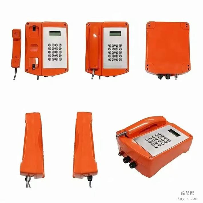 广东化工厂防爆电话，IP抗噪音声光电话，防爆扩音电话