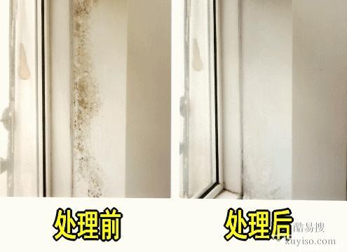 荔湾芳村除霉公司快速去除墙体发霉，天花板除霉、墙壁墙角去霉斑