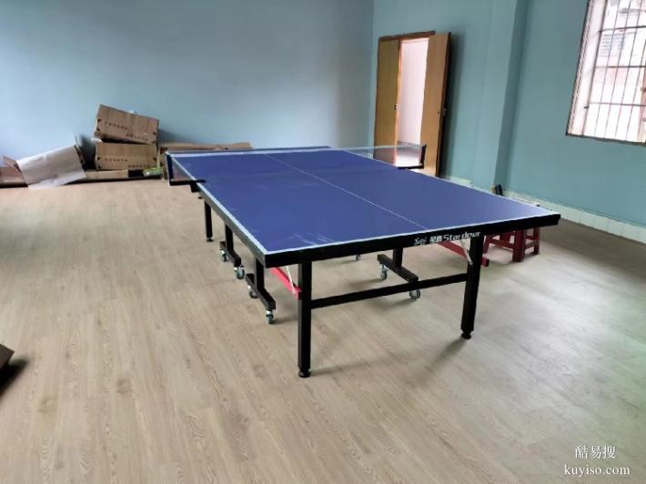 绥宁县室内乒乓球桌工厂