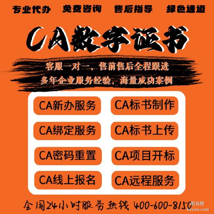 海南保亭代办CA投标锁