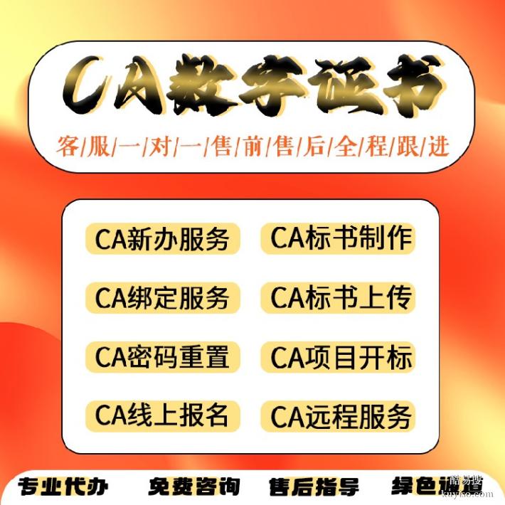 江苏江宁区代办CA投标锁