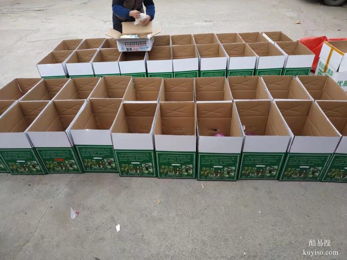 蔬菜禮品鄭州蔬菜箱