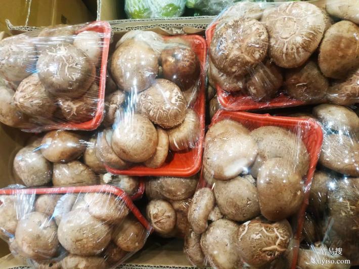 郑州蔬菜集装箱精品蔬菜