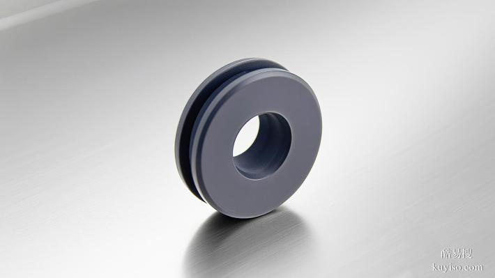 海水管道H型四氟油封