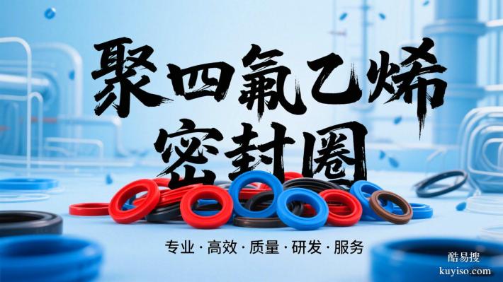 化工行業(yè)用聚四氟乙烯密封圈