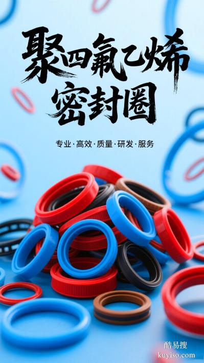 耐高低温PTFE四氟密封件