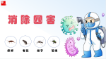 北京地區(qū)消殺滅蟑螂滅老鼠滅蚊子等蟲害，選華人環(huán)境技術(shù)公司