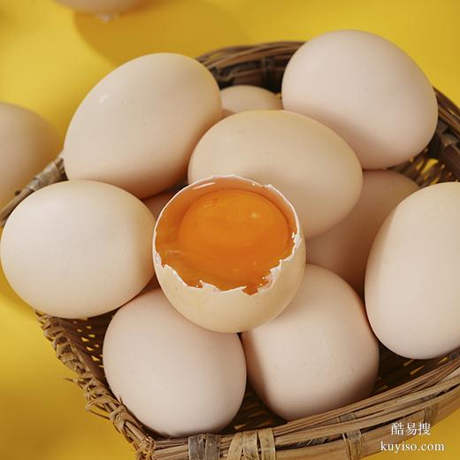 郑州产品拍摄商业摄影静物拍照郑州扬帆视觉电商摄影视频拍摄