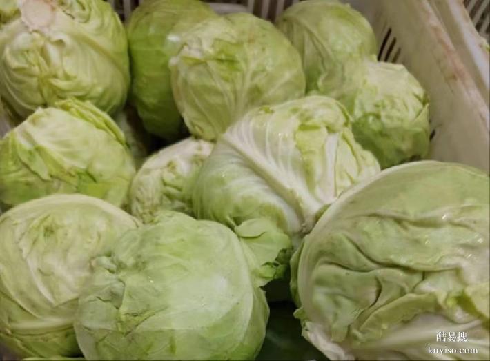 廈門蔬菜配送廈門集美蔬菜配送廈門配送生鮮