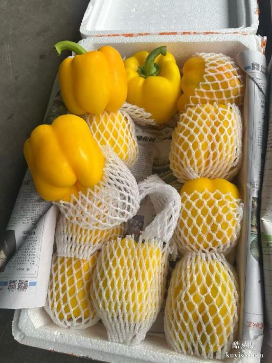 廈門同安蔬菜配送公司廈門生鮮蔬菜配送