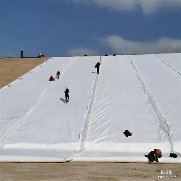 濟(jì)南復(fù)合土工膜廠(chǎng)家,景觀池800g兩布一膜一布一膜