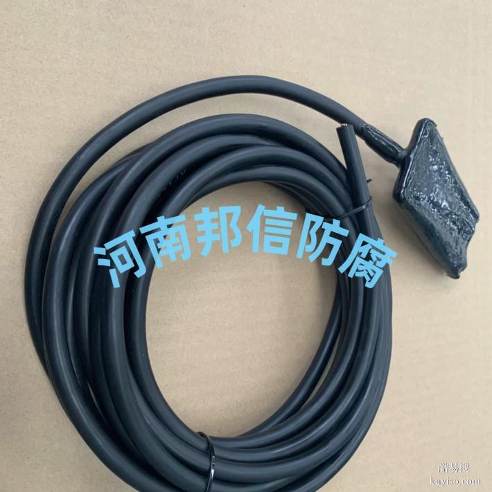 定做帶開關(guān)極化試片 管道犧牲陽極檢測 陰極保護(hù)材料 檢查片直銷