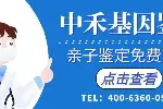 葛店區(qū)做隱私親子鑒定費(fèi)用說明(附2025年最新價(jià)格一覽表)
