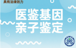 平?jīng)鰧I(yè)個(gè)人親子鑒定收費(fèi)標(biāo)準(zhǔn)（2025最新版）