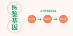 鑒定！張掖10家親子鑒定機構(gòu)一覽（附2025年匯總）
