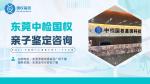 東莞麻涌權(quán)威dna親子鑒定機構(gòu)地址一覽（附2025年鑒定明細）