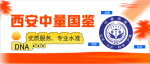 鄠邑區(qū) 10 家權威親子鑒定中心（附 2025 年地址及報告用途）
